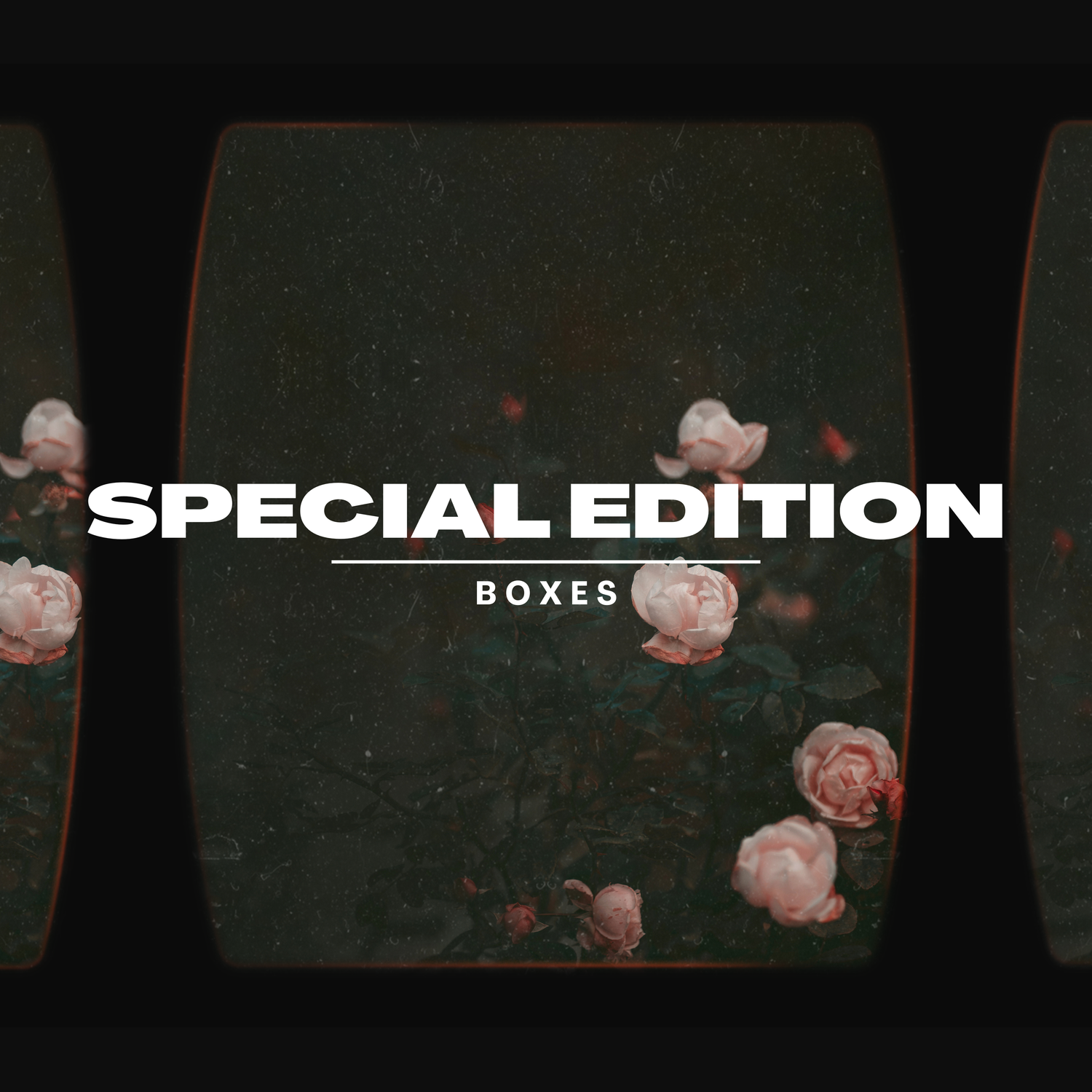 Special Edition Boxes